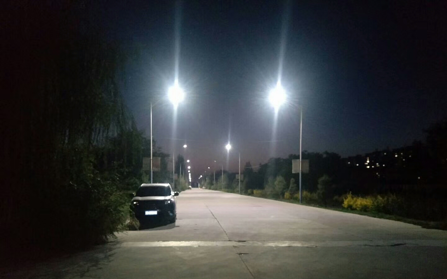 甘州区前进村道路LED路灯照明改造项目